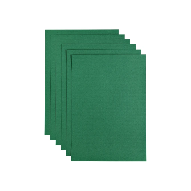 Kopieerpapier Papicolor A4 100gr 12 vel dennengroen