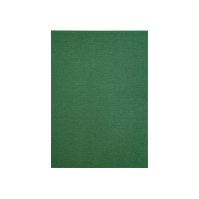 Kopieerpapier Papicolor A4 100gr 12 vel dennengroen