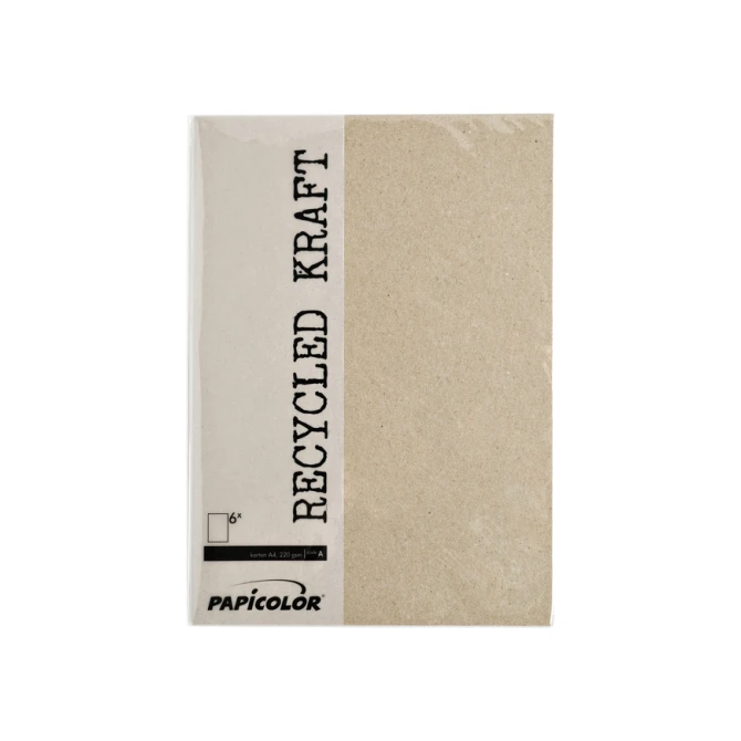 Kopieerpapier Papicolor A4 100gr 12 vel kraft grijs