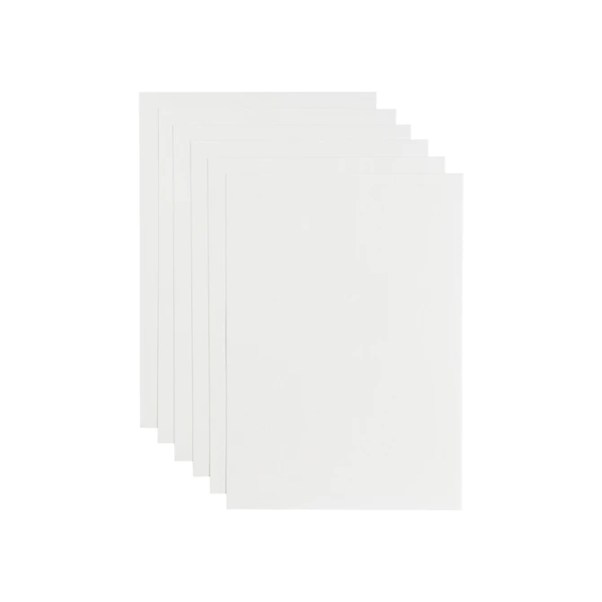 Kopieerpapier Papicolor A4 100gr 12 vel wit