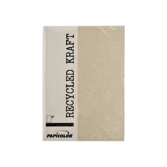Kopieerpapier Papicolor A4 220gr 6 vel kraft grijs