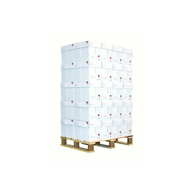 Kopieerpapier Quantore Basic A4 80gr wit 500 vel