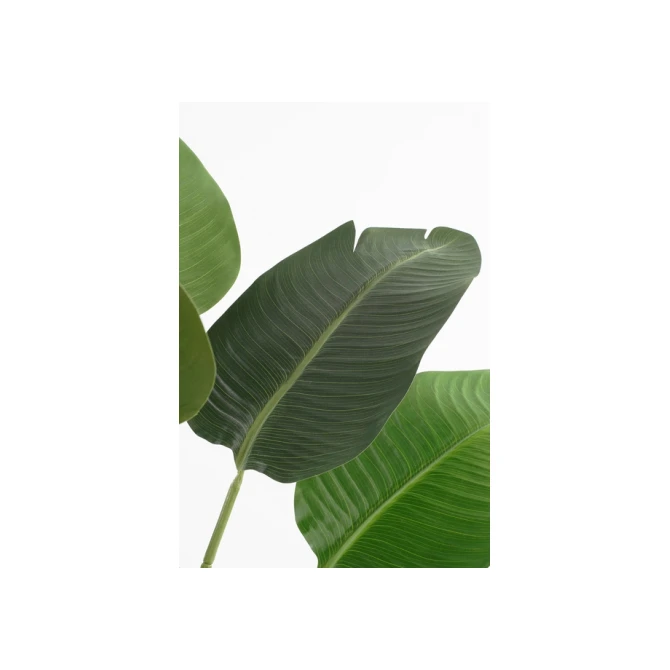 Kunstplant Mica Bananen boom in plastic pot 180x30cm