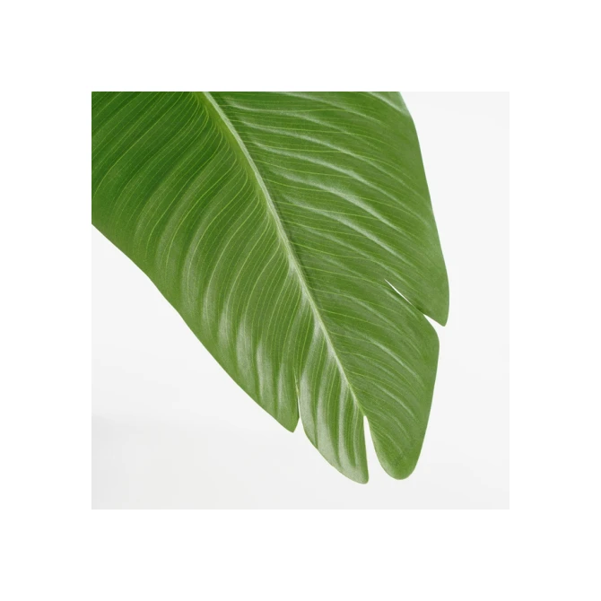 Kunstplant Mica Bananen boom in plastic pot 180x30cm