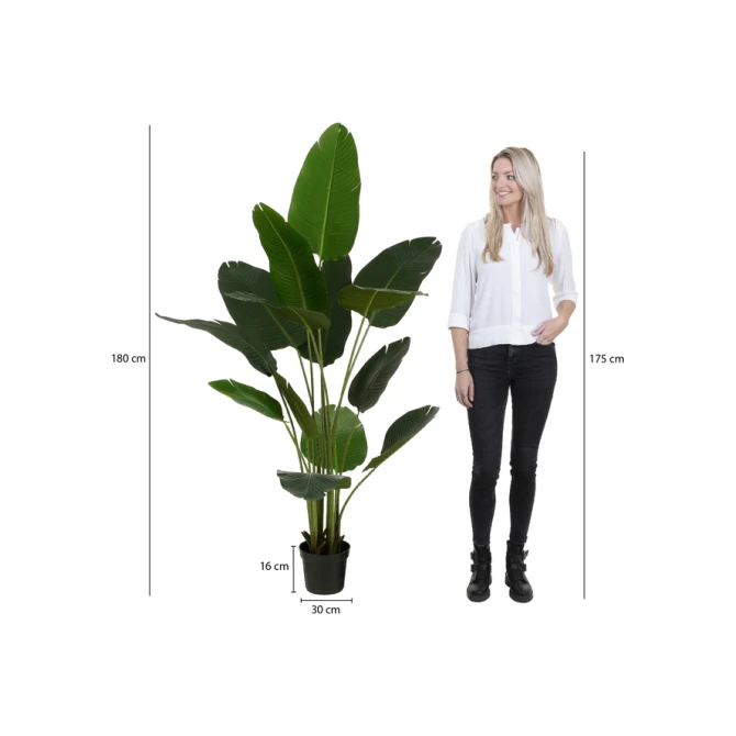 Kunstplant Mica Bananen boom in plastic pot 180x30cm