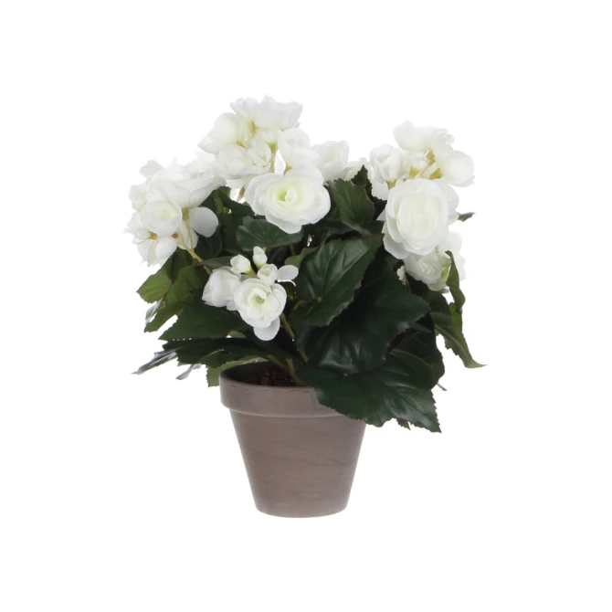 Kunstplant Mica Begonia wit in pot Stan grijs Ø25 30cm