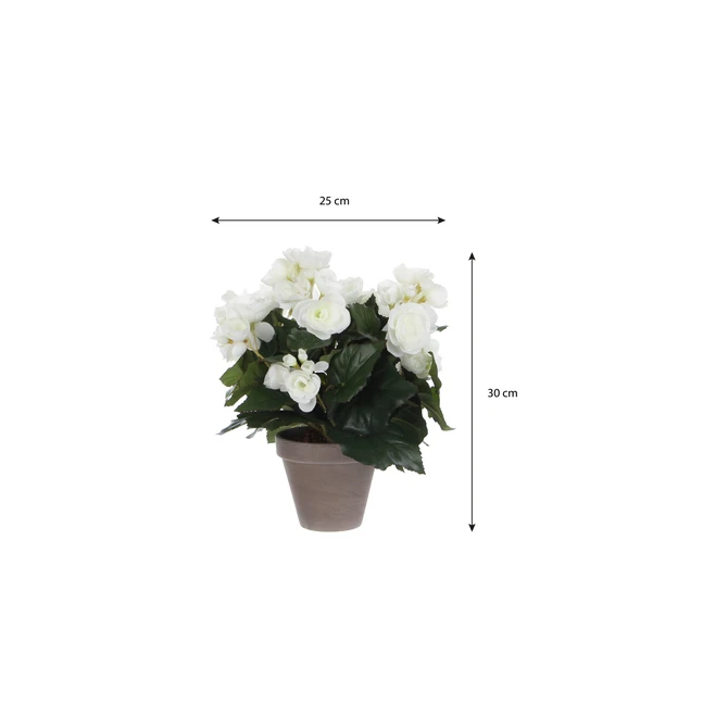 Kunstplant Mica Begonia wit in pot Stan grijs Ø25 30cm