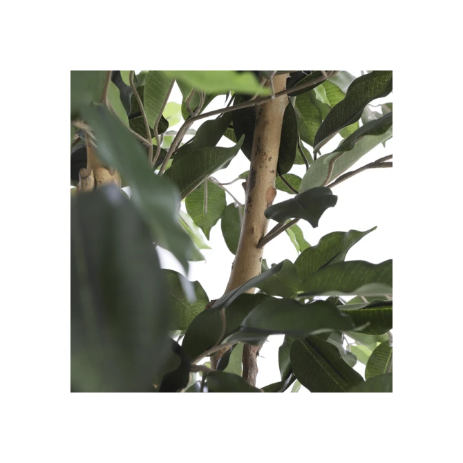 Kunstplant Mica Ficus groen in plastic pot Ø85 150cm