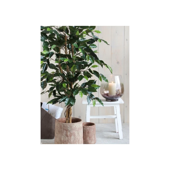 Kunstplant Mica Ficus groen in plastic pot Ø85 150cm