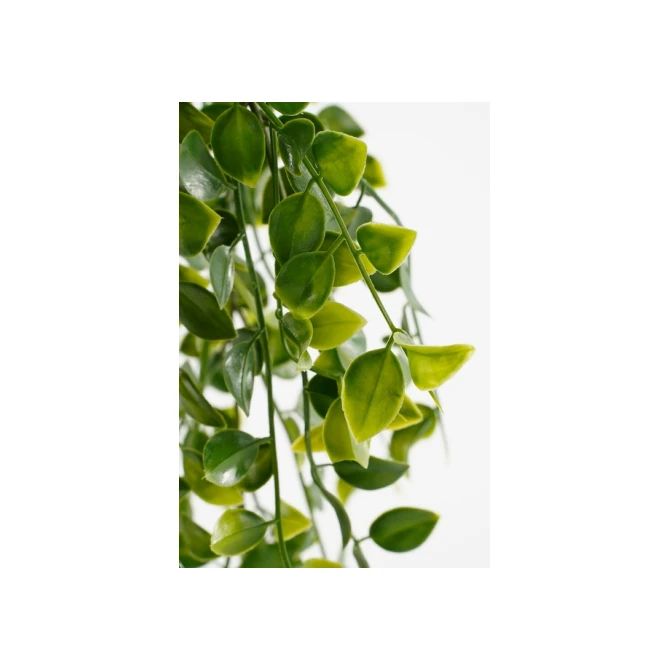 Kunstplant Mica Ficus hangend in pot groen Ø20 46cm