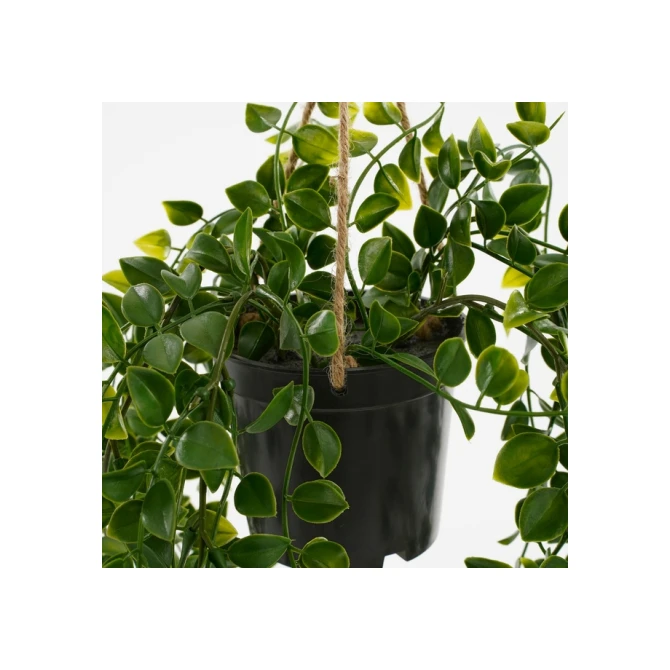 Kunstplant Mica Ficus hangend in pot groen Ø20 46cm