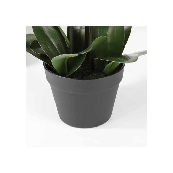 Kunstplant Mica Phalaenopsis orchideeën wit in plastic pot 79x51cm