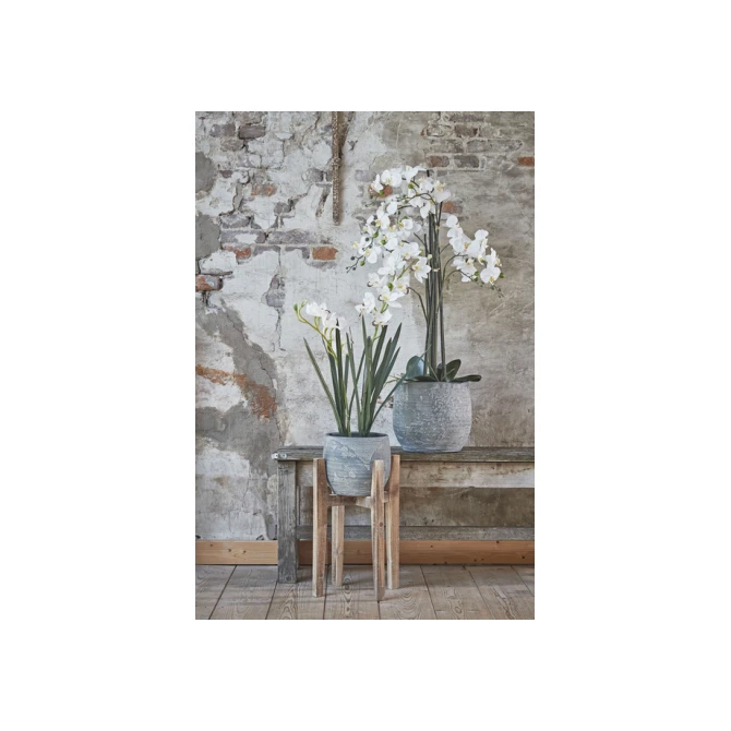 Kunstplant Mica Phalaenopsis orchideeën wit in plastic pot 79x51cm