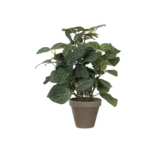 Kunstplant Mica Pilea in pot Ø11,5cm 35x25cm
