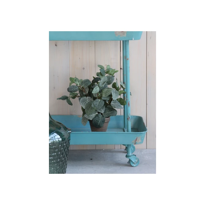 Kunstplant Mica Pilea in pot Ø11,5cm 35x25cm