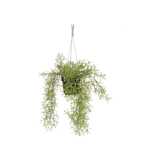 Kunstplant Mica Rhipsalis hangend in pot groen Ø9,5cm 40x20cm