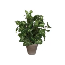 Kunstplant Mica Syngonium groen in pot Ø25 35cm