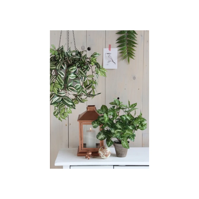 Kunstplant Mica Syngonium groen in pot Ø25 35cm