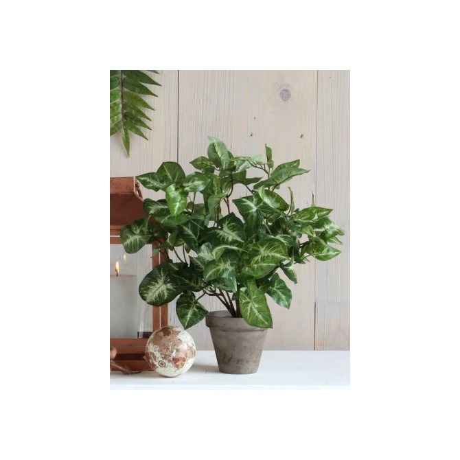 Kunstplant Mica Syngonium groen in pot Ø25 35cm