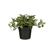 Kunstplant Mica Tradescantia in pot groen 16x16cm