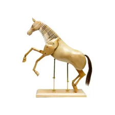 Ledenpaard Conda 50 cm naturel hout