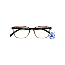 Leesbril I Need You +2.50 dpt Lucky bruin-zwart