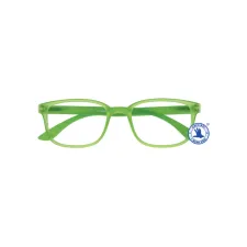 Leesbril I Need You +2.50 dtp Rainbow groen