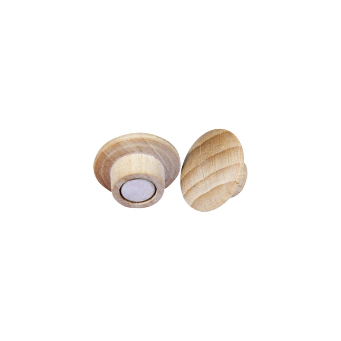 Magneet Legamaster hout 5 stuks