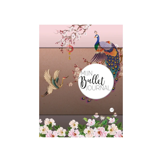 Mijn Bullet Journal Japan 240 dots 240 pagina's