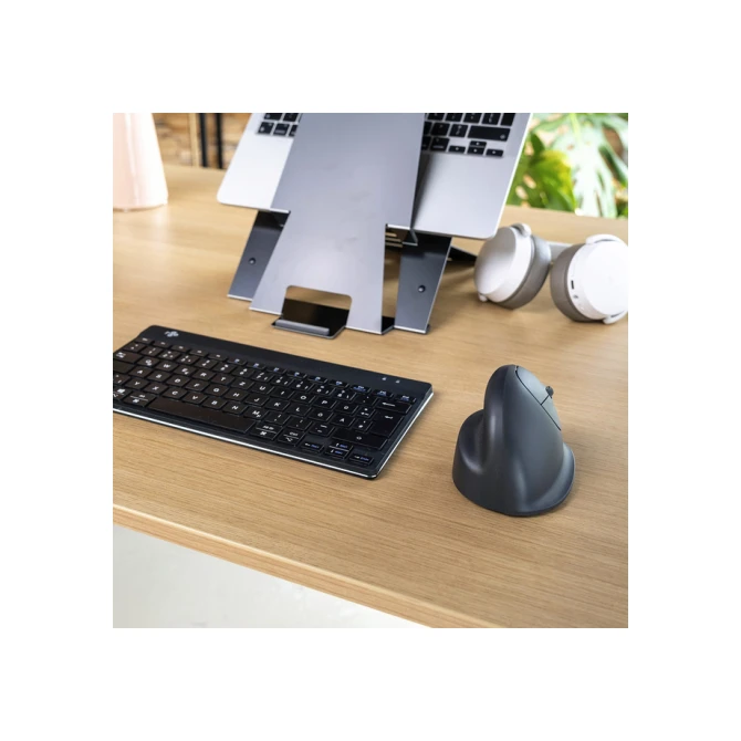 Muis R-Go Ergonomisch HE Basic Wireless Rechts M