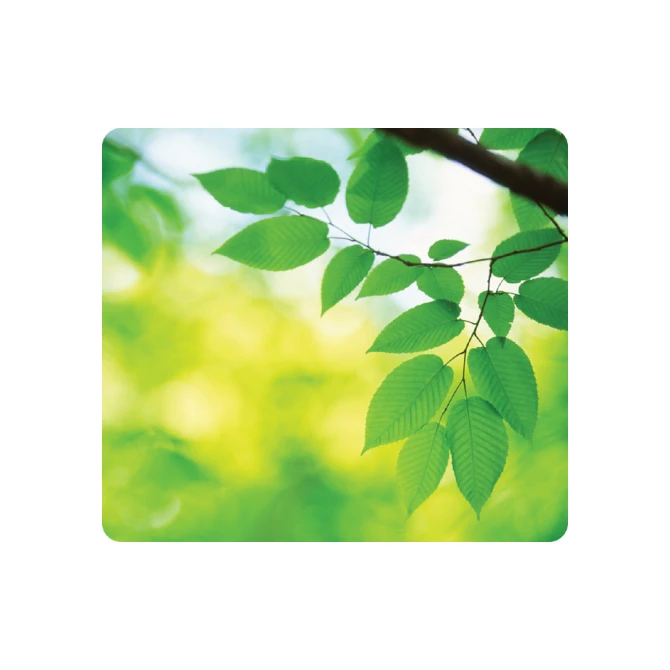 Muismat Fellowes natuur collectie bladeren 228x203mm