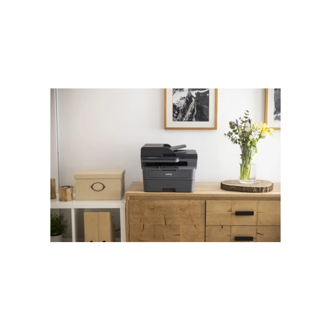 Multifunctional Laser printer Brother MFC-L2860DWE