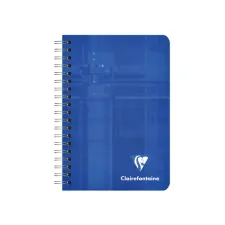 Notitieboek Clairefontaine A7+ 95x140 ruit 5x5 100blz 90gr assorti