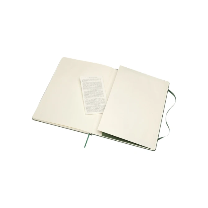 Notitieboek Moleskine XL 190x250mm blanco hard cover myrtle green