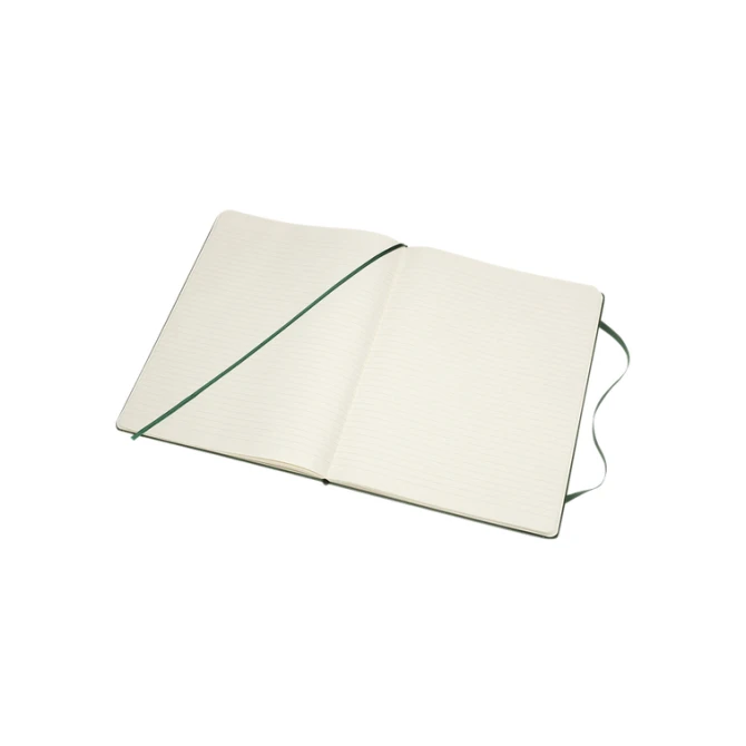 Notitieboek Moleskine XL 190x250mm lijn hard cover myrtle green