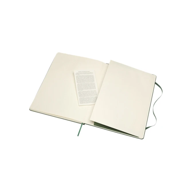 Notitieboek Moleskine XL 190x250mm lijn hard cover myrtle green