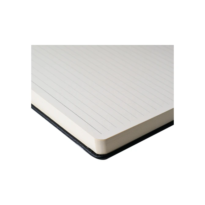 Notitieboek Sakura large 130x210mm lijn hard cover dennennaald
