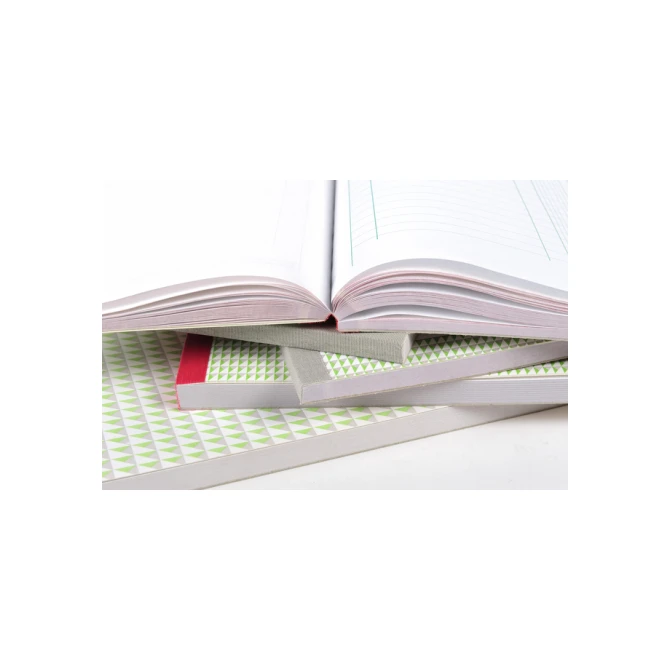 Ontvangstboek Exacompta Manifold ontvangsten dupli 50vel Frans