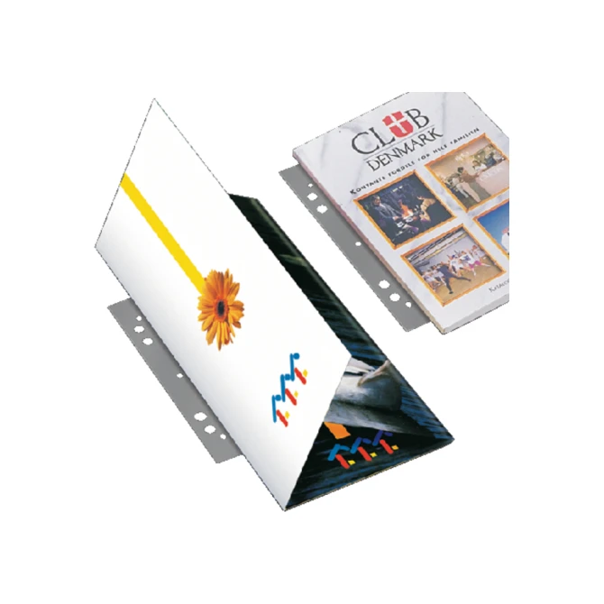 Opbergstrip Djois filestrip 125mm 2rings transparant 50 stuks