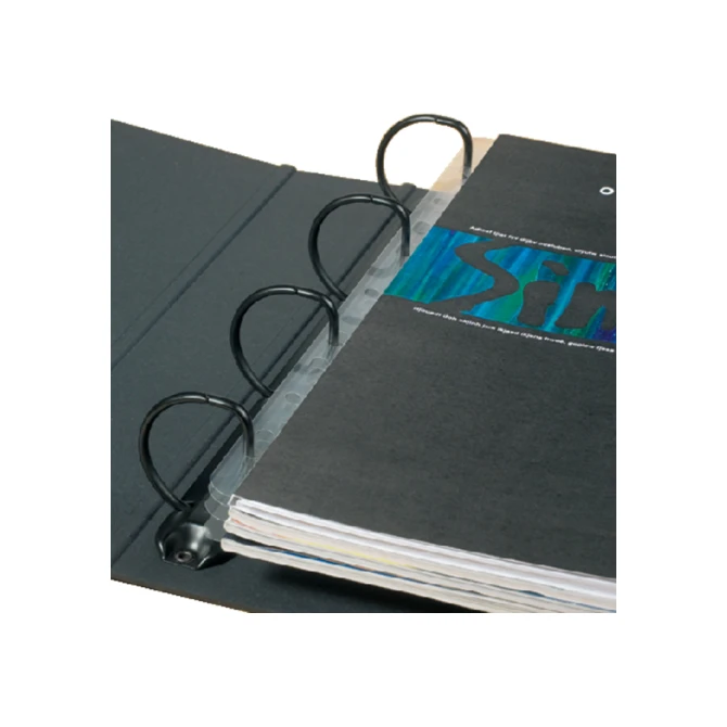Opbergstrip Djois filestrip A4 295mm 2/4rings transparant 50 stuks