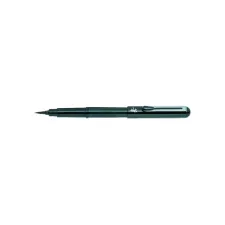 Pocketbrush Pentel XGFKP/FP10 zwart inclusief 2 patronen in blister