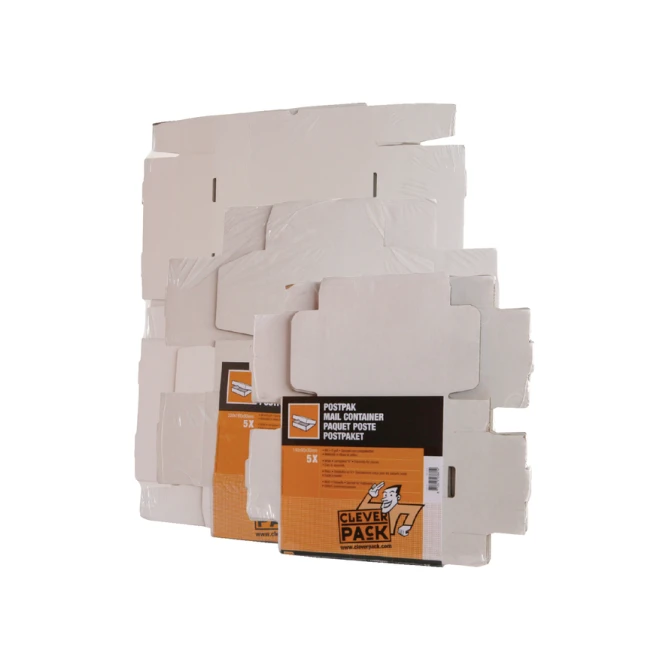 Postpakket CleverPack golfkarton 220x160x90mm wit pak à 25 stuks