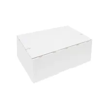 Postpakketbox IEZZY 2 200x140x80mm wit