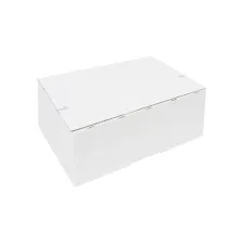 Postpakketbox IEZZY 4 305x215x110mm wit