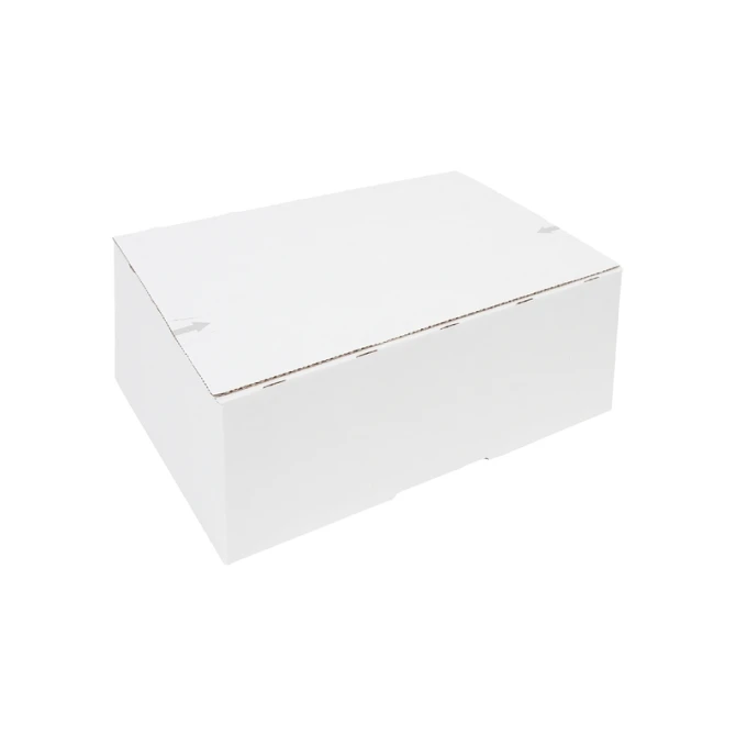 Postpakketbox IEZZY 4 305x215x110mm wit