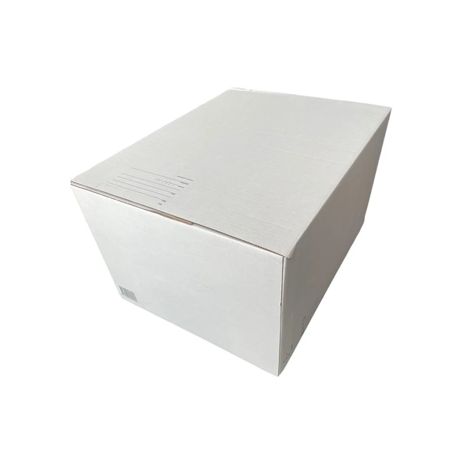Postpakketbox IEZZY 7 485x369x269mm wit