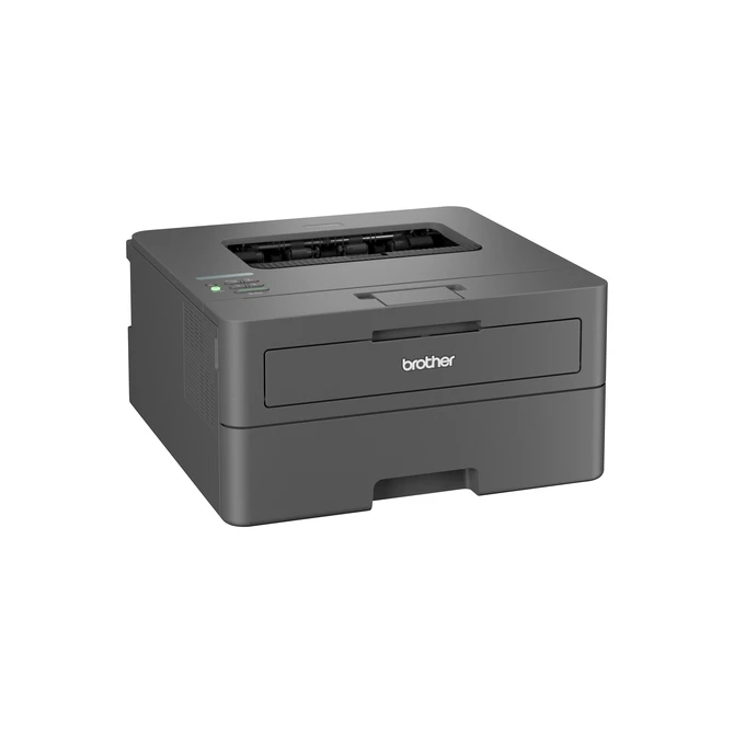 Printer Laser Brother HL-L2445DW