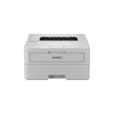 Printer Laser Brother HL-L2865DW