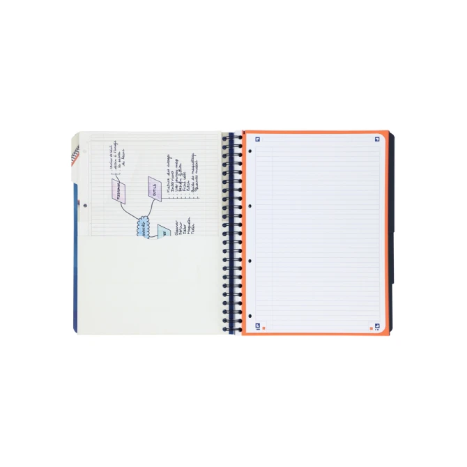 Projectboek Oxford School A4+ lijn 4-gaats 240 pagina's 80gr blauw