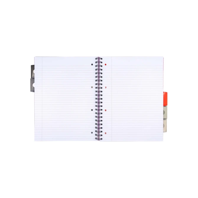 Projectboek Pukka Pad Metallic Executive A4 lijn 5-tabs 4-gaats 200 pagina's 80gr assorti